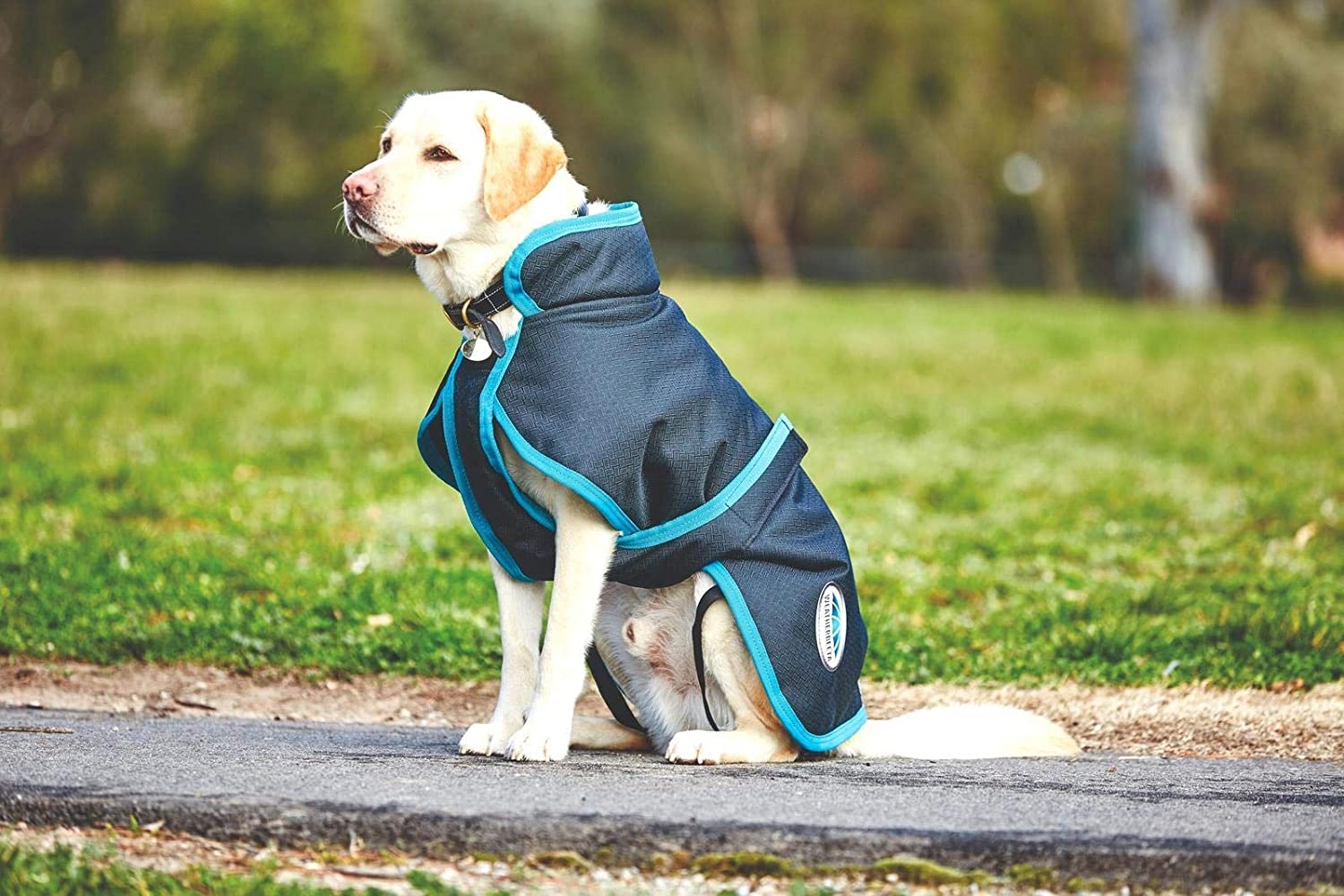 Weatherbeeta Parka 1200D Deluxe Dog Coat (20", Navy/Grey/White)
