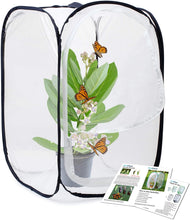 
                        
                          Muat gambar ke penampil Galeri, RESTCLOUD Insect and Butterfly Habitat Cage Terrarium Pop-up 23.6 Inches Tall - JOY2ESpree
                        
                      