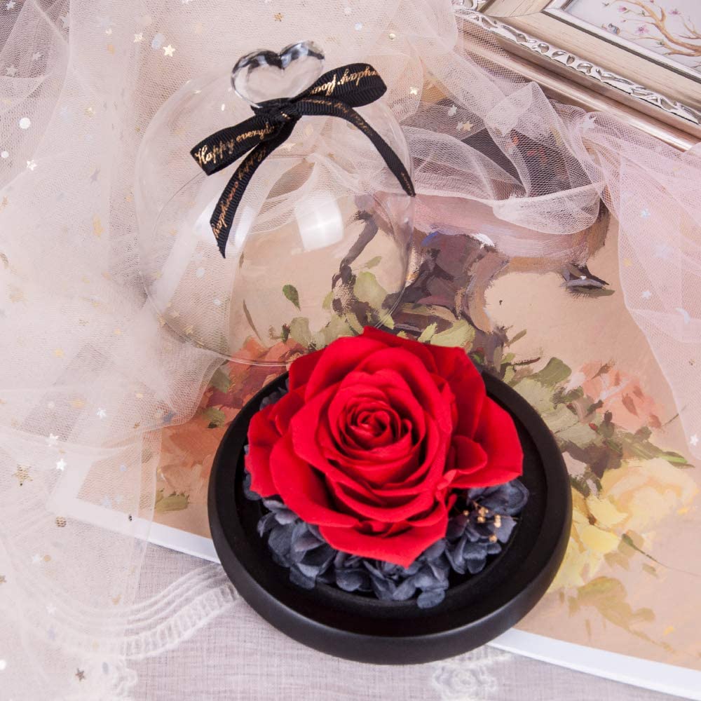 Eternal Rose- Preserved Flower Rose Handmade Fresh Flower Rose