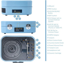 
                        
                          將圖片載入圖庫檢視器 LP&amp;No.1 Bluetooth Turntable HiFi System with Bookshelf Speakers - JOY2ESpree
                        
                      