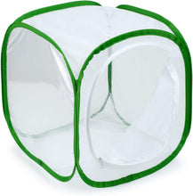 
                        
                          Muat gambar ke penampil Galeri, RESTCLOUD Insect and Butterfly Habitat Cage Terrarium Pop-up 23.6 Inches Tall - JOY2ESpree
                        
                      