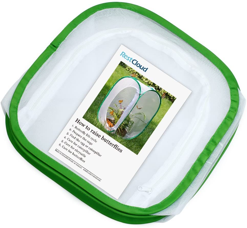 RESTCLOUD Insect and Butterfly Habitat Cage Terrarium Pop-up 23.6 Inches Tall - JOY2ESpree