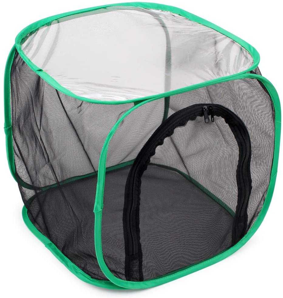 RESTCLOUD Insect and Butterfly Habitat Cage Terrarium Pop-up 23.6 Inches Tall - JOY2ESpree