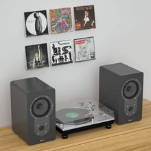
                        
                          गैलरी व्यूवर में इमेज लोड करें, NIUBEE Black Vinyl Record Shelf Wall Mount 6 Pack - JOY2ESpree
                        
                      