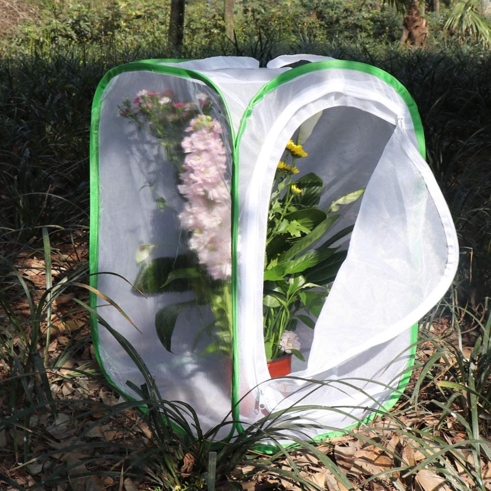 RESTCLOUD Insect and Butterfly Habitat Cage Terrarium Pop-up 24 Inches Tall with Zipper Protection - JOY2ESpree