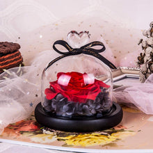 
                        
                          Cargar imagen en el visor de la galería, Eternal Rose- Preserved Flower Rose Handmade Fresh Flower Rose
                        
                      