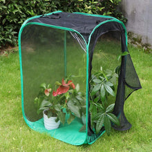 
                        
                          गैलरी व्यूवर में इमेज लोड करें, RESTCLOUD 36" Large Monarch Butterfly Habitat, Giant Collapsible Insect Mesh Cage Terrarium Pop-up 24 x 24 x 36 Inches - JOY2ESpree
                        
                      