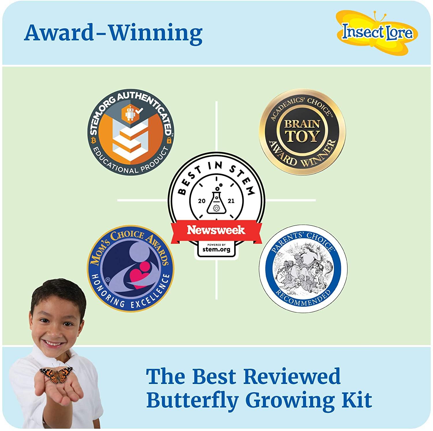 Insect Lore - BH Butterfly Growing Kit - With Voucher to Redeem Caterpillars Later - JOY2ESpree