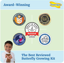 
                        
                          將圖片載入圖庫檢視器 Insect Lore - BH Butterfly Growing Kit - With Voucher to Redeem Caterpillars Later - JOY2ESpree
                        
                      