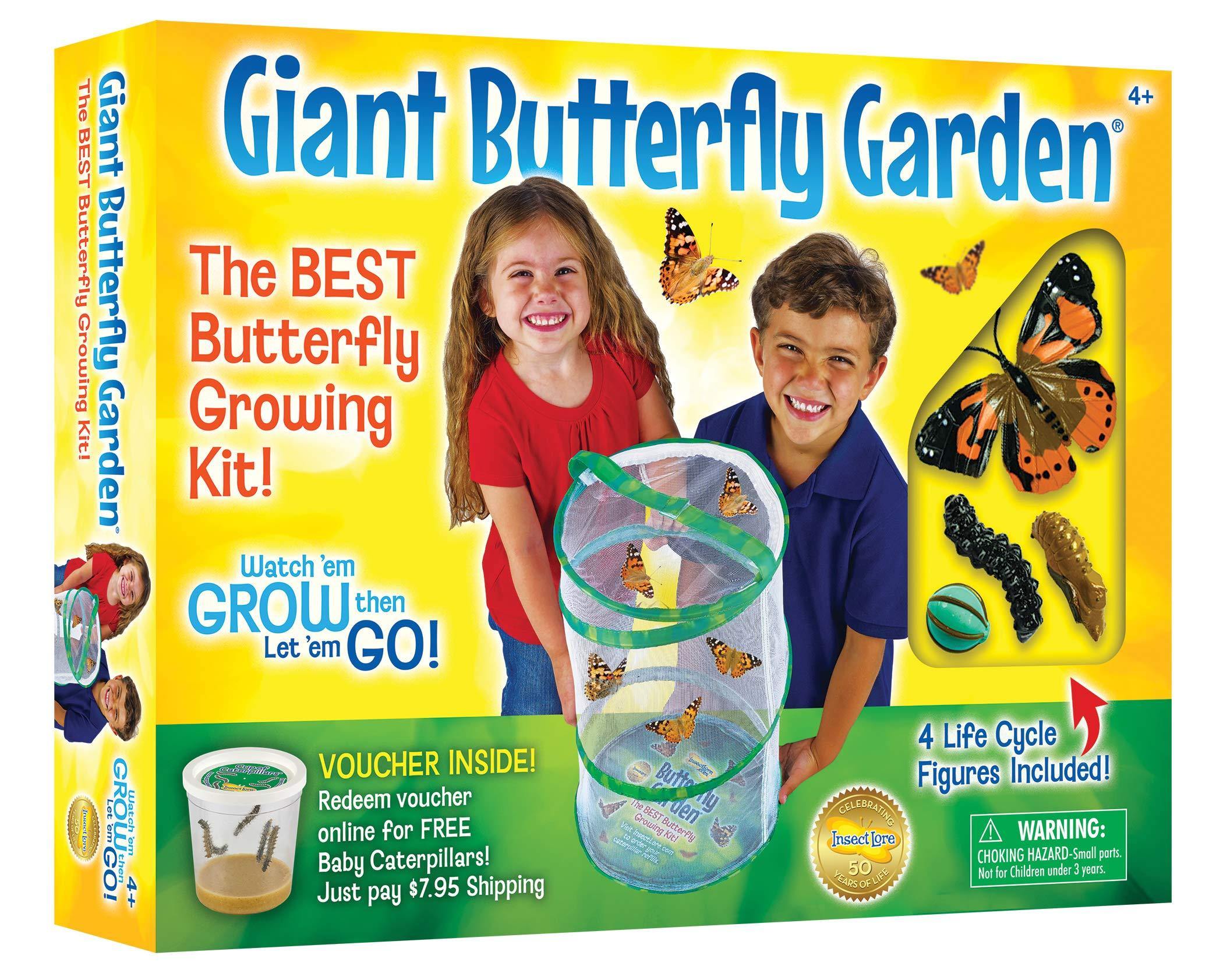 Insect Lore Giant Butterfly Garden with Voucher - JOY2ESpree