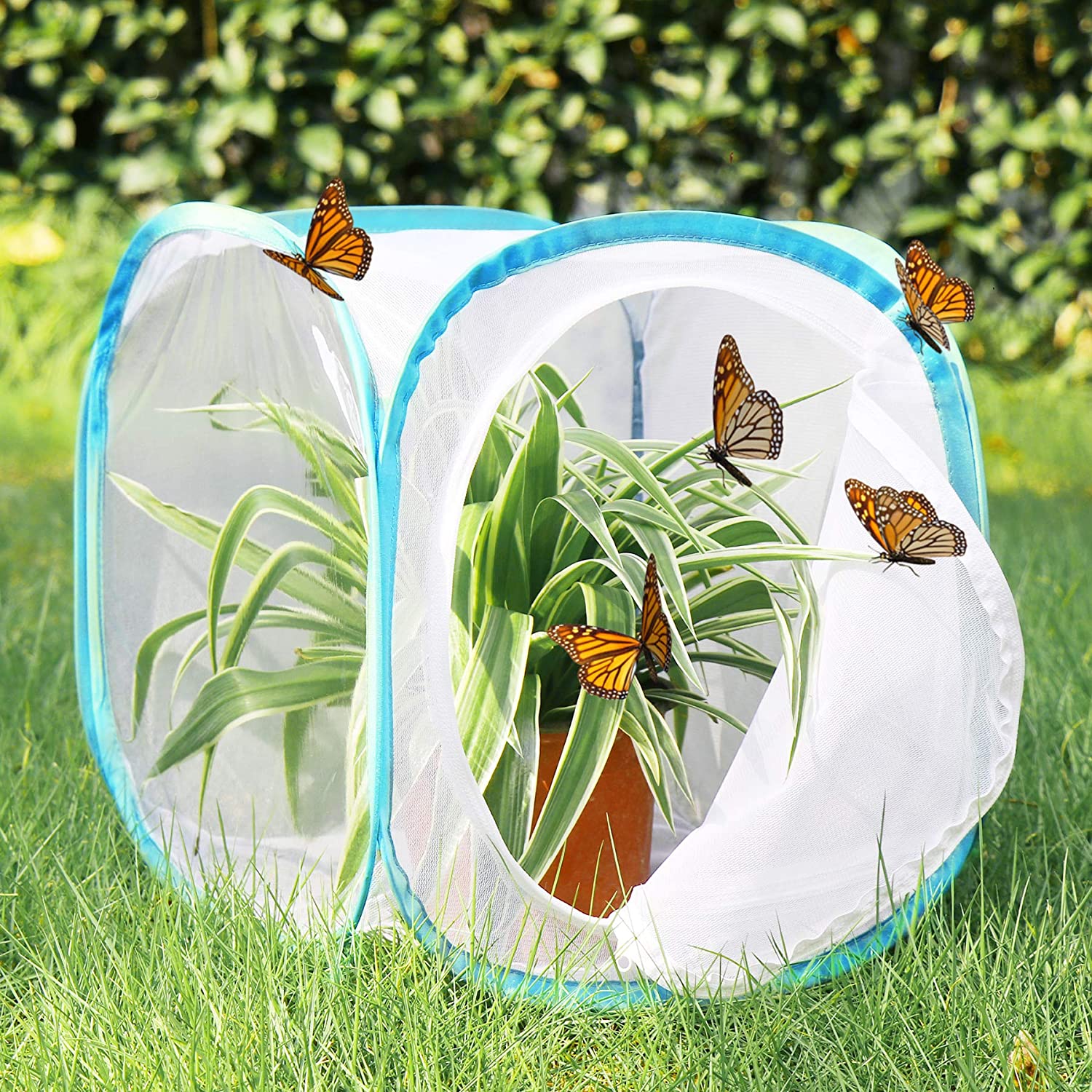 RESTCLOUD Insect and Butterfly Habitat Cage Terrarium Pop-up 23.6 Inches Tall - JOY2ESpree