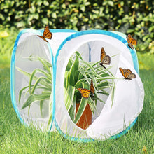 
                        
                          Muat gambar ke penampil Galeri, RESTCLOUD Insect and Butterfly Habitat Cage Terrarium Pop-up 23.6 Inches Tall - JOY2ESpree
                        
                      