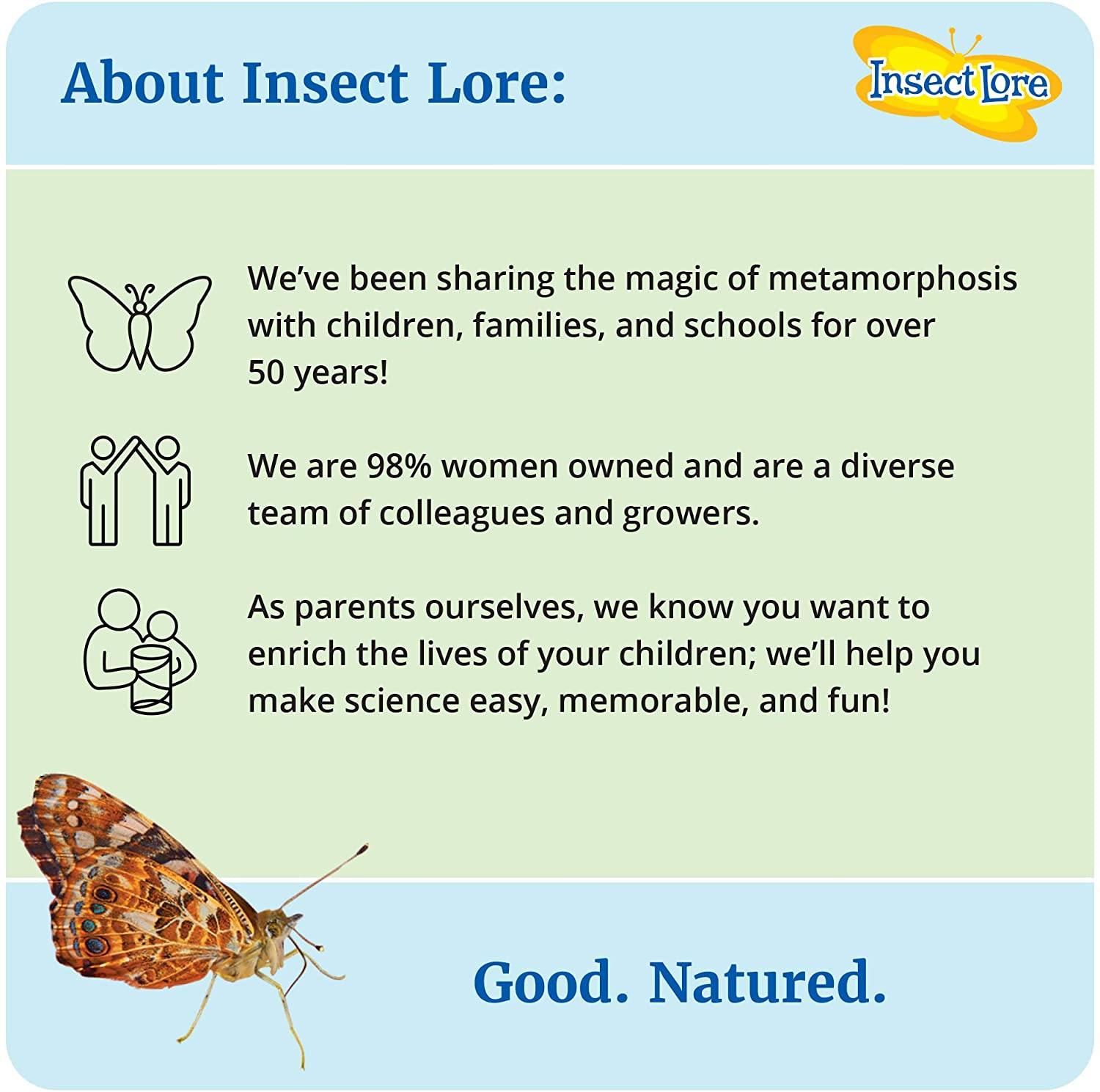 Insect Lore - BH Butterfly Growing Kit - With Voucher to Redeem Caterpillars Later - JOY2ESpree
