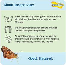 
                        
                          將圖片載入圖庫檢視器 Insect Lore - BH Butterfly Growing Kit - With Voucher to Redeem Caterpillars Later - JOY2ESpree
                        
                      