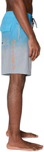 
                        
                          गैलरी व्यूवर में इमेज लोड करें, Spyder Men's 9" Geo Print Hybrid Board Short
                        
                      
