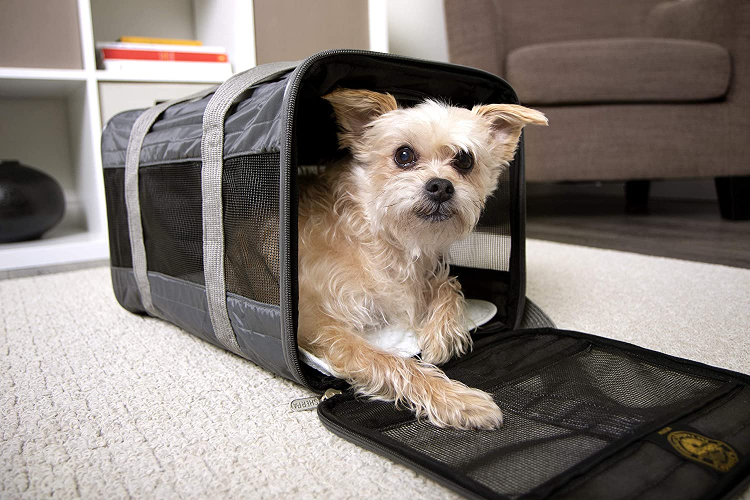 Sherpa Original Deluxe Airline Approved Pet Carrier, Medium, Black