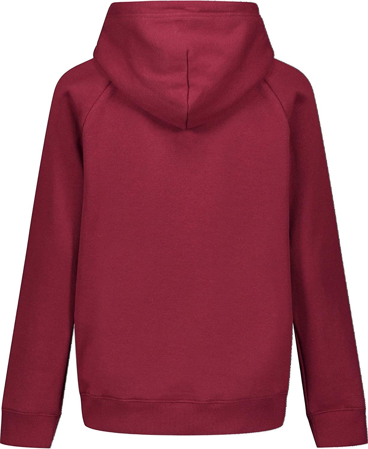 Under Armour Boys' Fleece Big Logo Hoodie