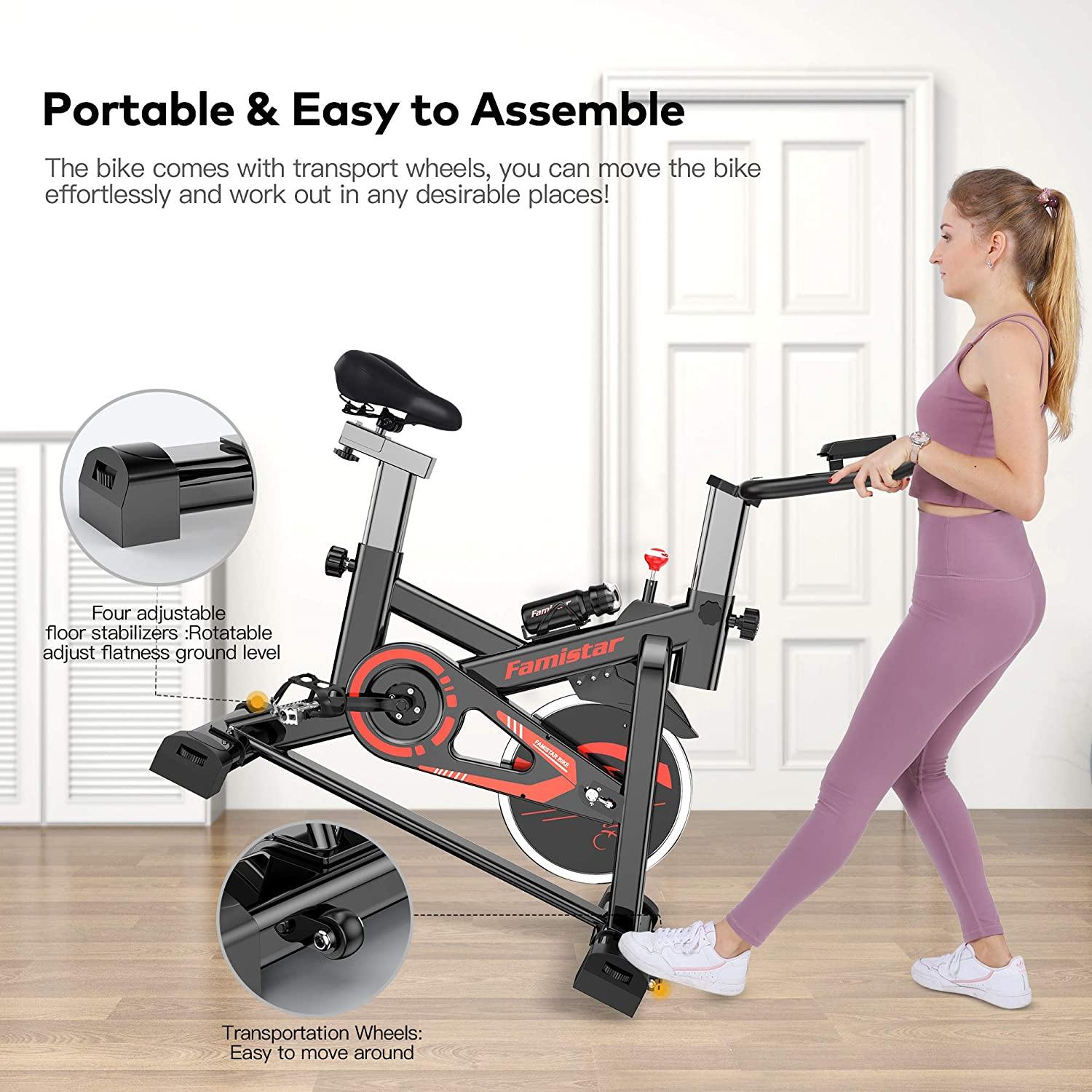 Famistar 40 lbs Quiet Flywheel 300 lbs Capacity Exercise Bike, Indoor Cycling Bike Stationary with LCD Display - JOY2ESpree