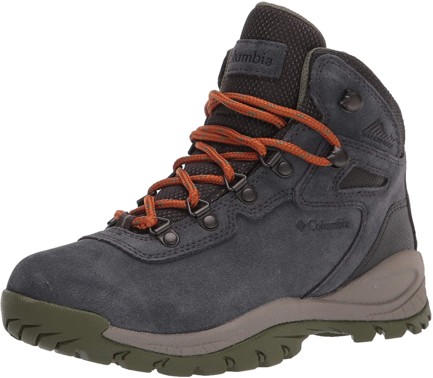 Columbia Women's Newton Ridge Plus Waterproof Amped Hiking Shoe