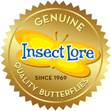 
                        
                          將圖片載入圖庫檢視器 Insect Lore - BH Butterfly Growing Kit - With Voucher to Redeem Caterpillars Later - JOY2ESpree
                        
                      