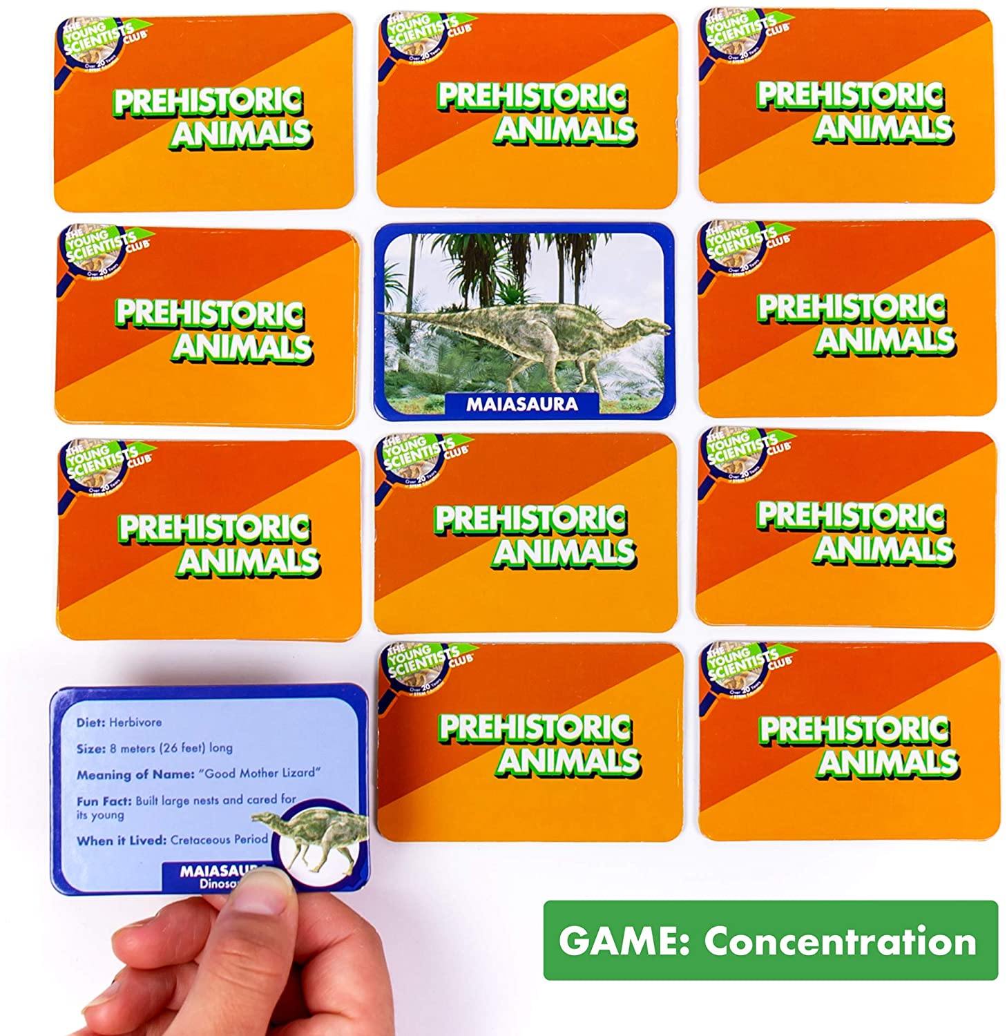 The Young Scientists Club Animal Tracks Game By Horizon Group USA - JOY2ESpree
