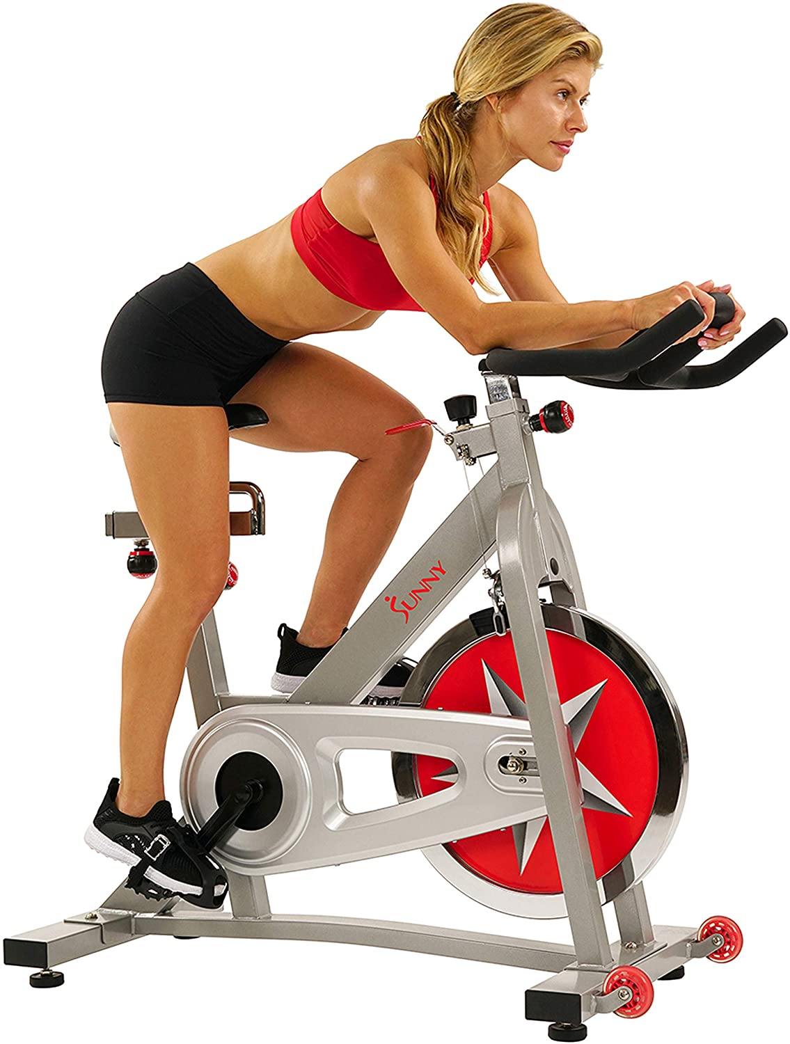 Sunny Health & Fitness Indoor Cycling Exercise Bike with 40 LB Flywheel and Dual Felt Resistance - Pro / Pro II - JOY2ESpree