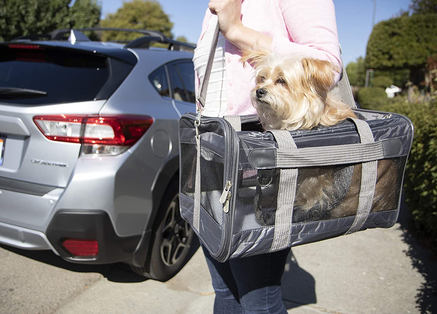 Sherpa Original Deluxe Airline Approved Pet Carrier, Medium, Black