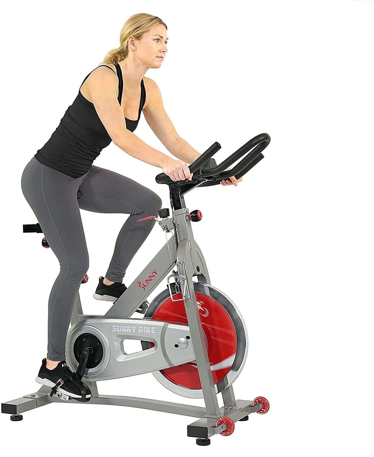 Sunny Health & Fitness Indoor Cycling Exercise Bike with 40 LB Flywheel and Dual Felt Resistance - Pro / Pro II - JOY2ESpree