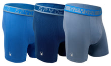 
                        
                          Cargar imagen en el visor de la galería, Spyder Performance Mesh Mens Boxer Briefs Sports Underwear 3 Pack for Men
                        
                      