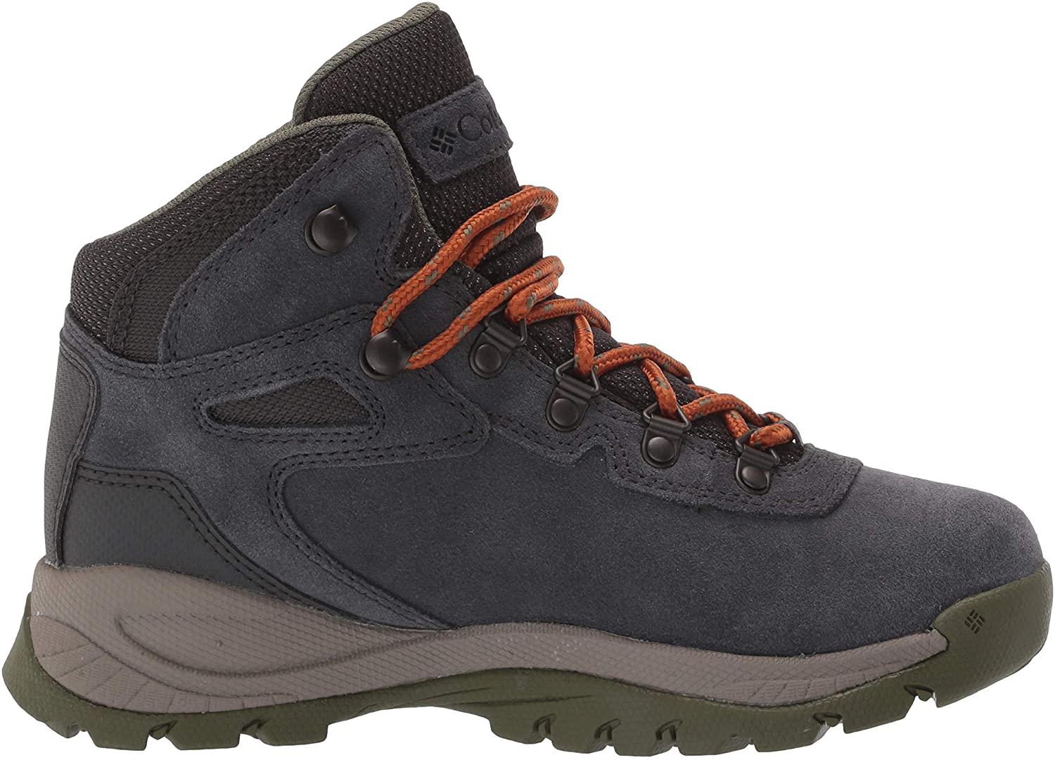 Columbia Women's Newton Ridge Plus Waterproof Amped Hiking Shoe