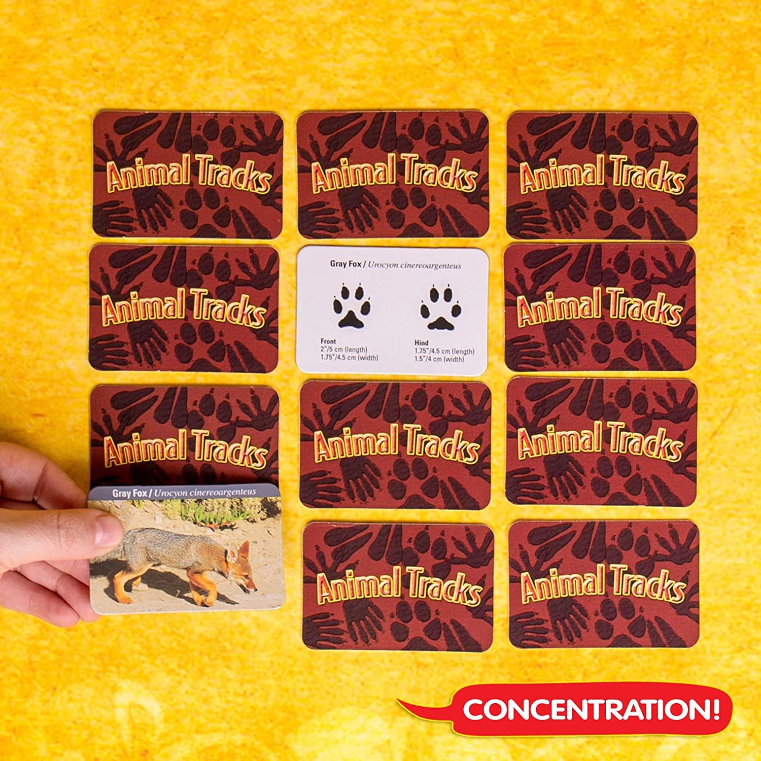 The Young Scientists Club Animal Tracks Game By Horizon Group USA - JOY2ESpree