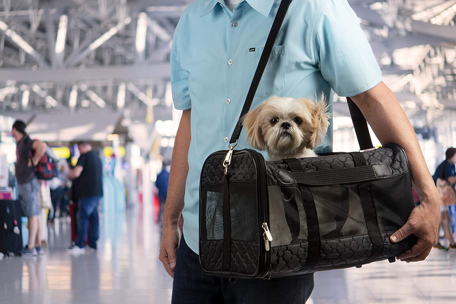 Sherpa Original Deluxe Airline Approved Pet Carrier, Medium, Black