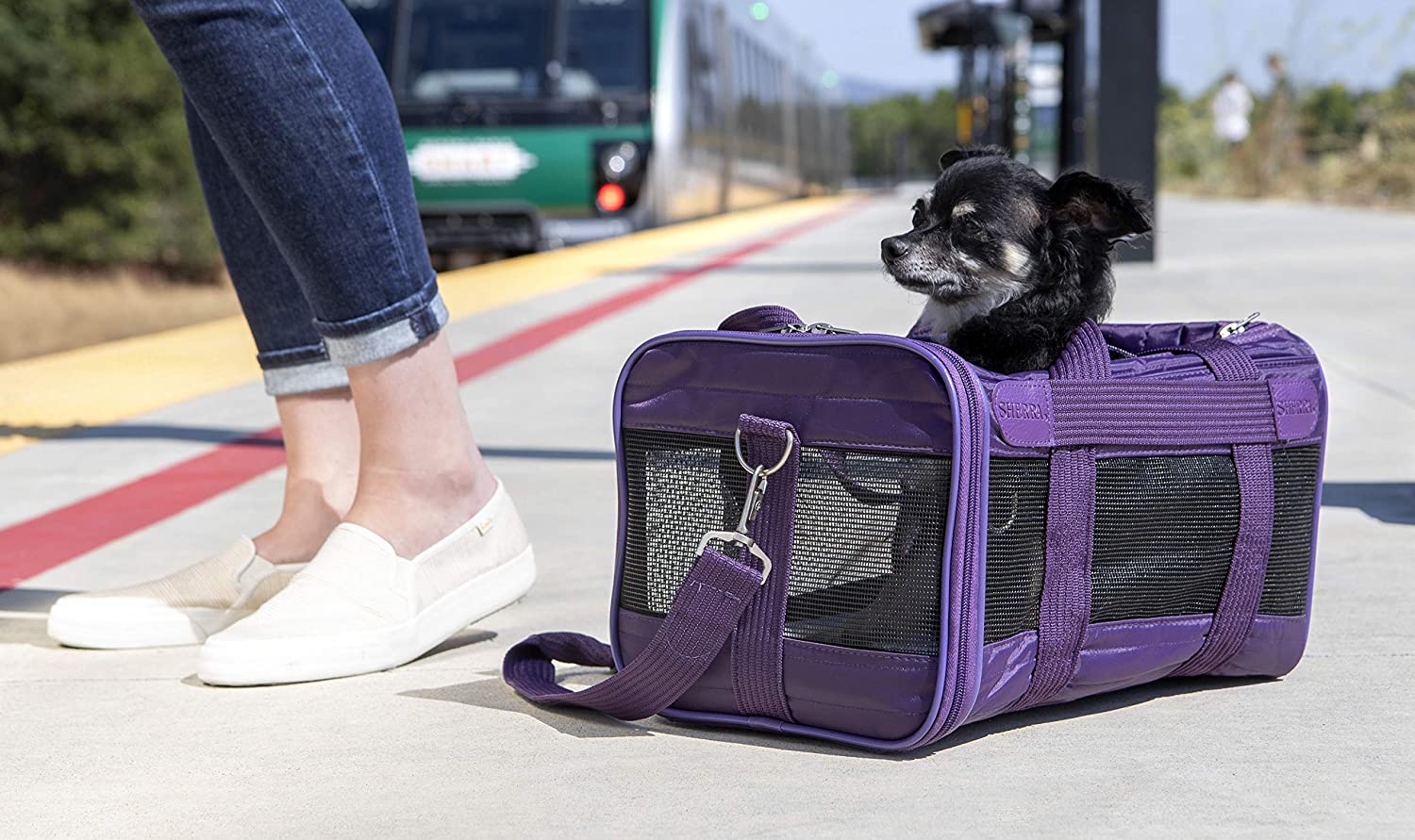 Sherpa Original Deluxe Airline Approved Pet Carrier, Medium, Black