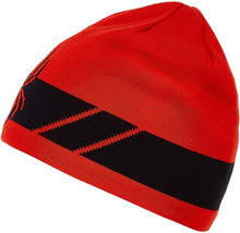 
                        
                          Cargar imagen en el visor de la galería, Spyder Men's Shelby Hat
                        
                      