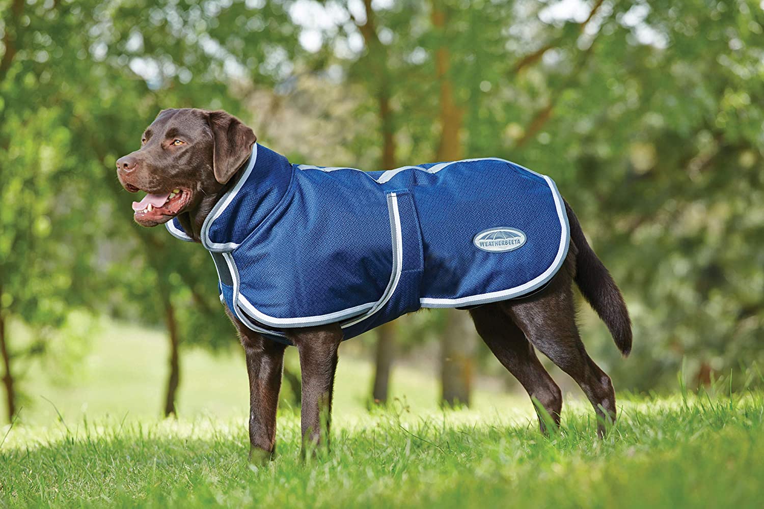 Weatherbeeta Parka 1200D Deluxe Dog Coat (20", Navy/Grey/White)