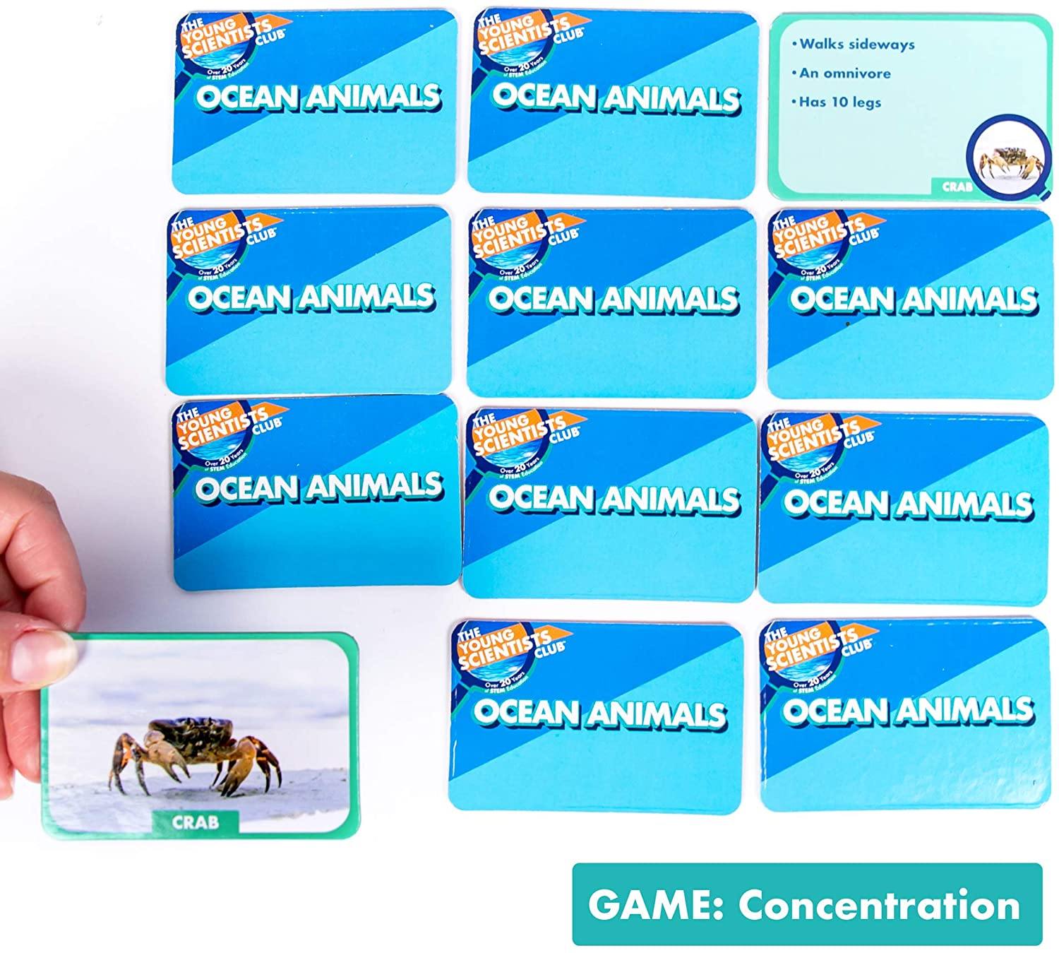 The Young Scientists Club Animal Tracks Game By Horizon Group USA - JOY2ESpree