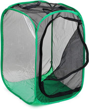
                        
                          गैलरी व्यूवर में इमेज लोड करें, RESTCLOUD 36" Large Monarch Butterfly Habitat, Giant Collapsible Insect Mesh Cage Terrarium Pop-up 24 x 24 x 36 Inches - JOY2ESpree
                        
                      