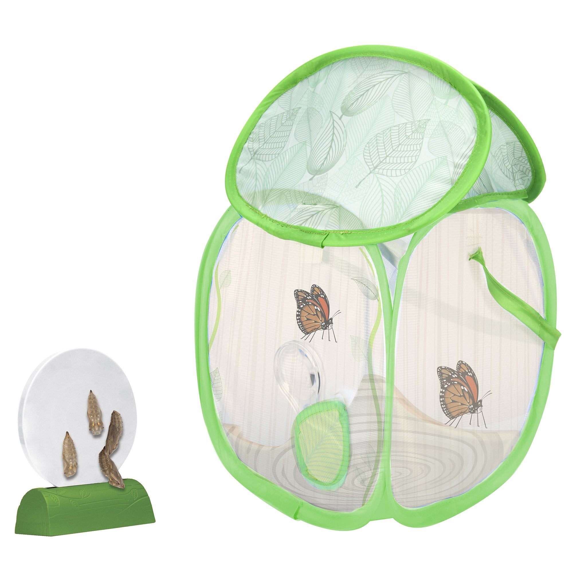Educational Insights GeoSafari Jr. Butterfly Bungalow: Kids Outdoor Toys - JOY2ESpree