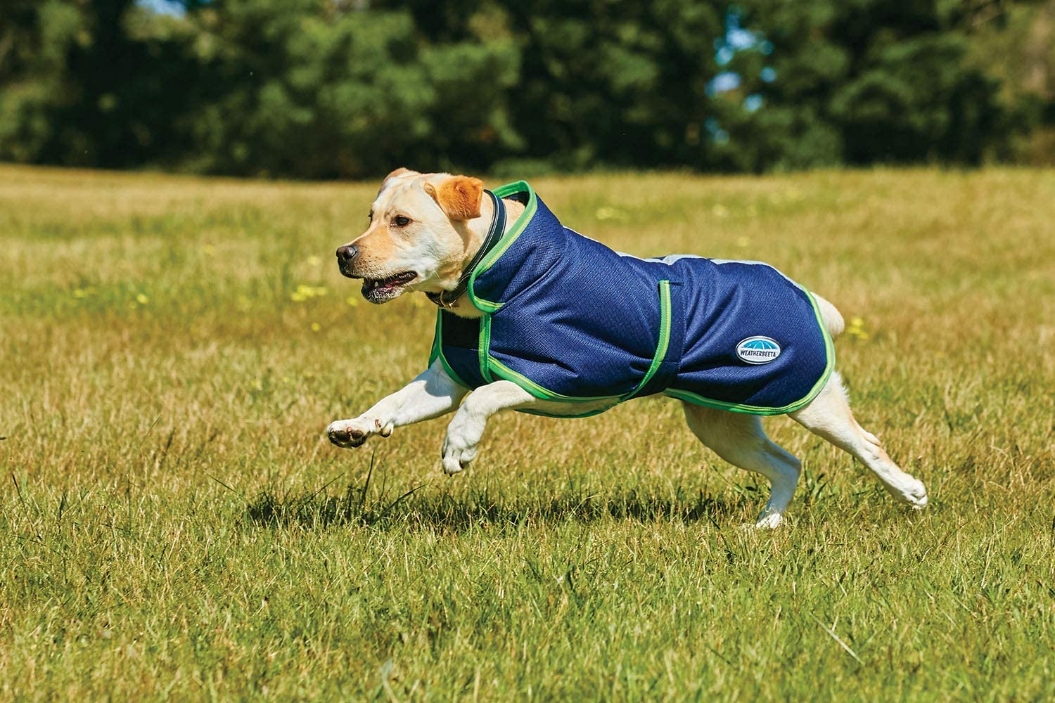 Weatherbeeta Parka 1200D Deluxe Dog Coat (20", Navy/Grey/White)