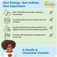 
                        
                          將圖片載入圖庫檢視器 Insect Lore - BH Butterfly Growing Kit - With Voucher to Redeem Caterpillars Later - JOY2ESpree
                        
                      