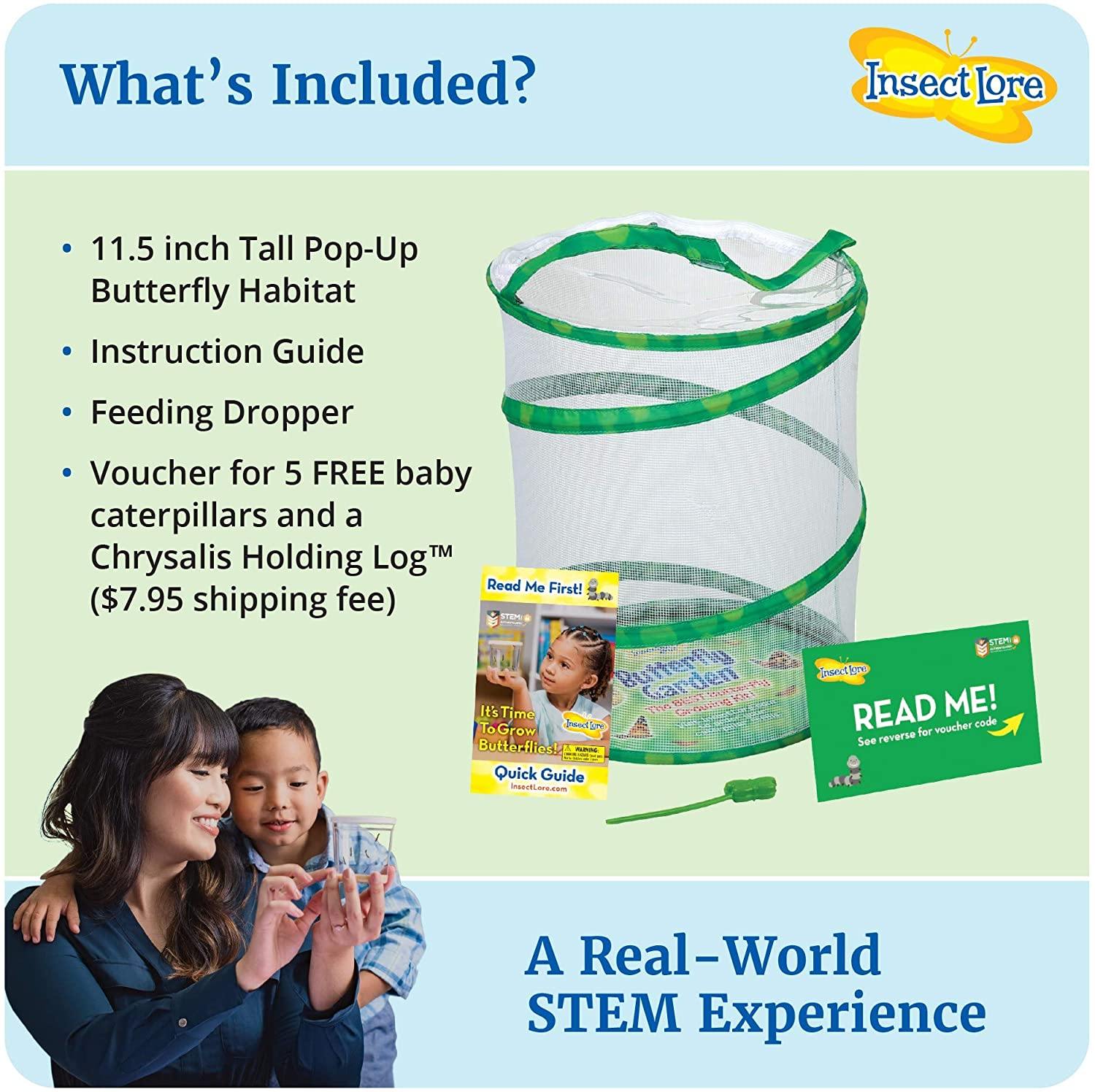 Insect Lore - BH Butterfly Growing Kit - With Voucher to Redeem Caterpillars Later - JOY2ESpree