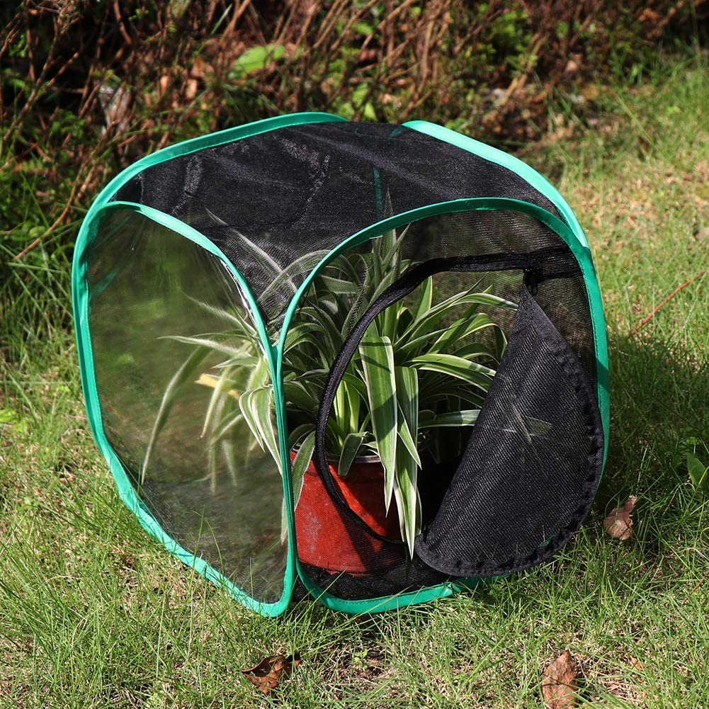RESTCLOUD Insect and Butterfly Habitat Cage Terrarium Pop-up 23.6 Inches Tall - JOY2ESpree