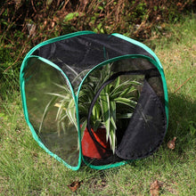 
                        
                          Muat gambar ke penampil Galeri, RESTCLOUD Insect and Butterfly Habitat Cage Terrarium Pop-up 23.6 Inches Tall - JOY2ESpree
                        
                      