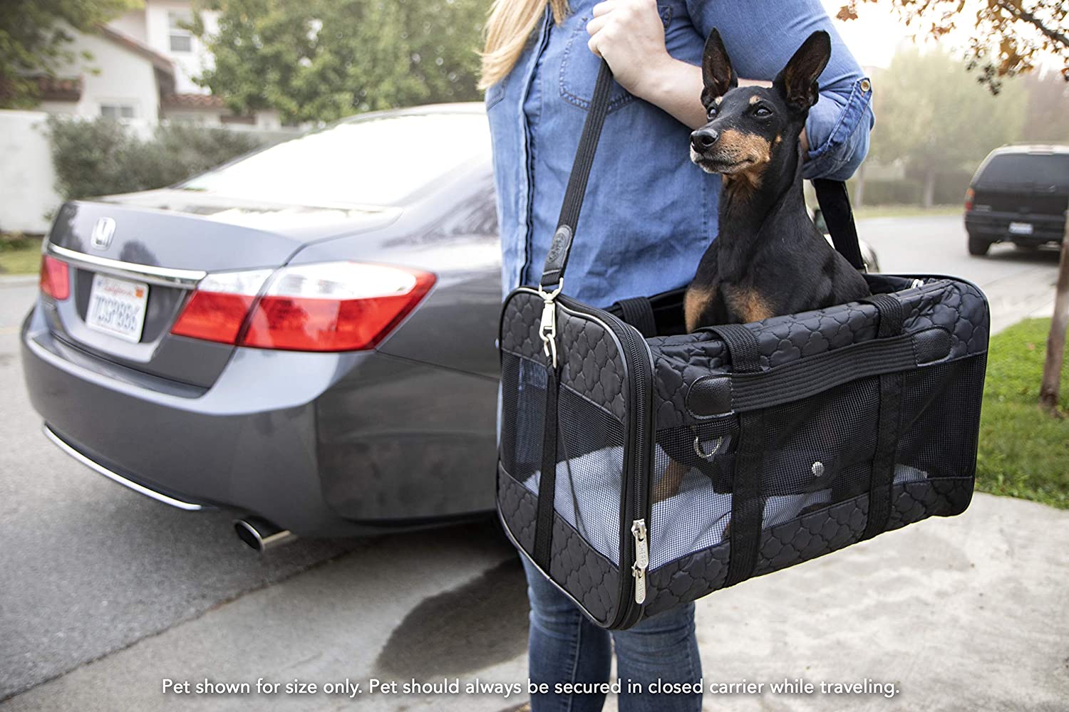 Sherpa Original Deluxe Airline Approved Pet Carrier, Medium, Black