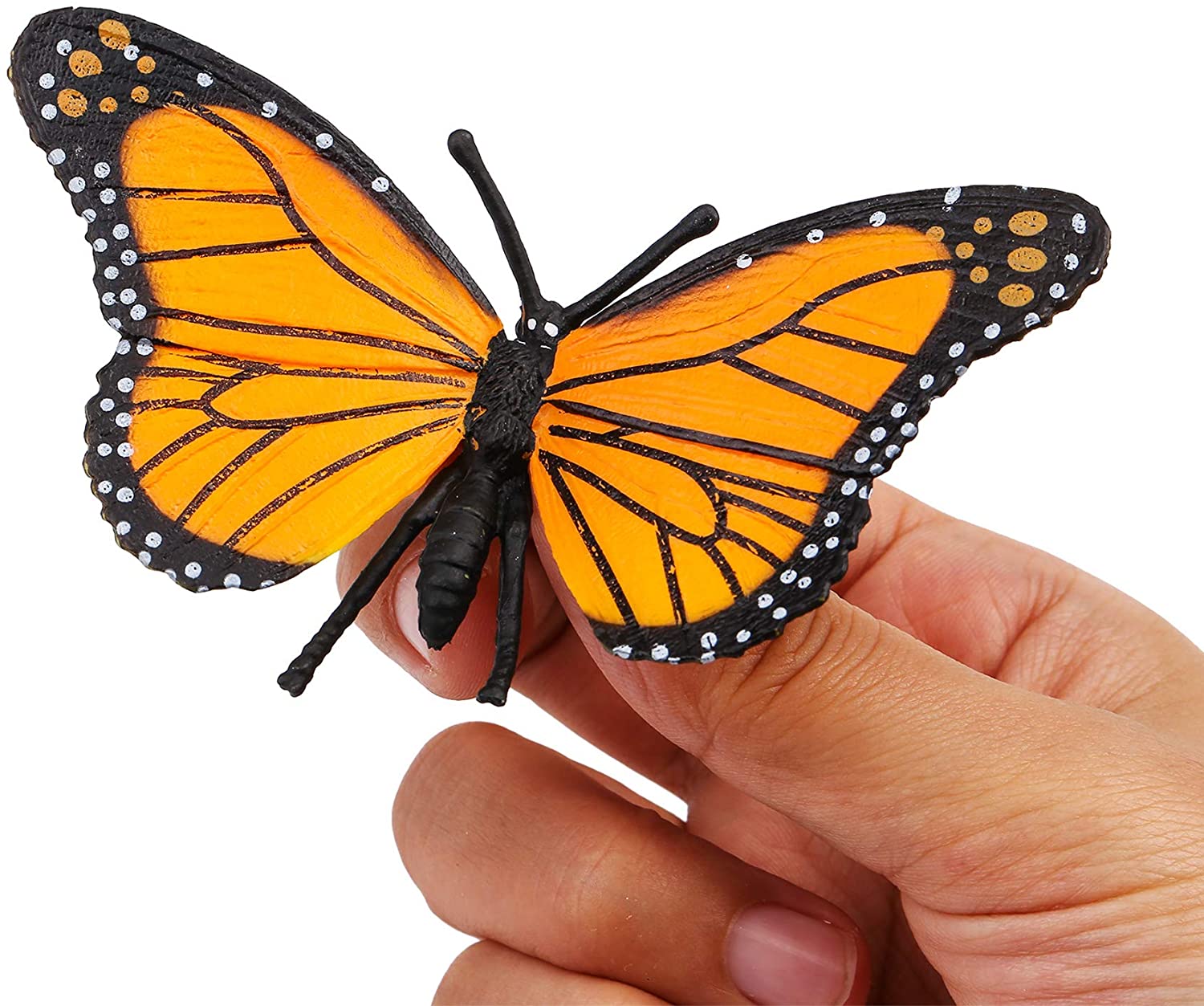 UANDME 4pcs Butterfly Life Cycle Kit Lifestyle Stages of Monarch Butterfly Teaching Tools for Kids, Students - JOY2ESpree