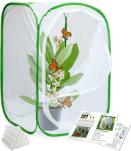 
                        
                          画像をギャラリービューアに読み込む, RESTCLOUD Insect and Butterfly Habitat Cage Terrarium Pop-up 24 Inches Tall with 10Pcs 10ML Floral Tubes - JOY2ESpree
                        
                      