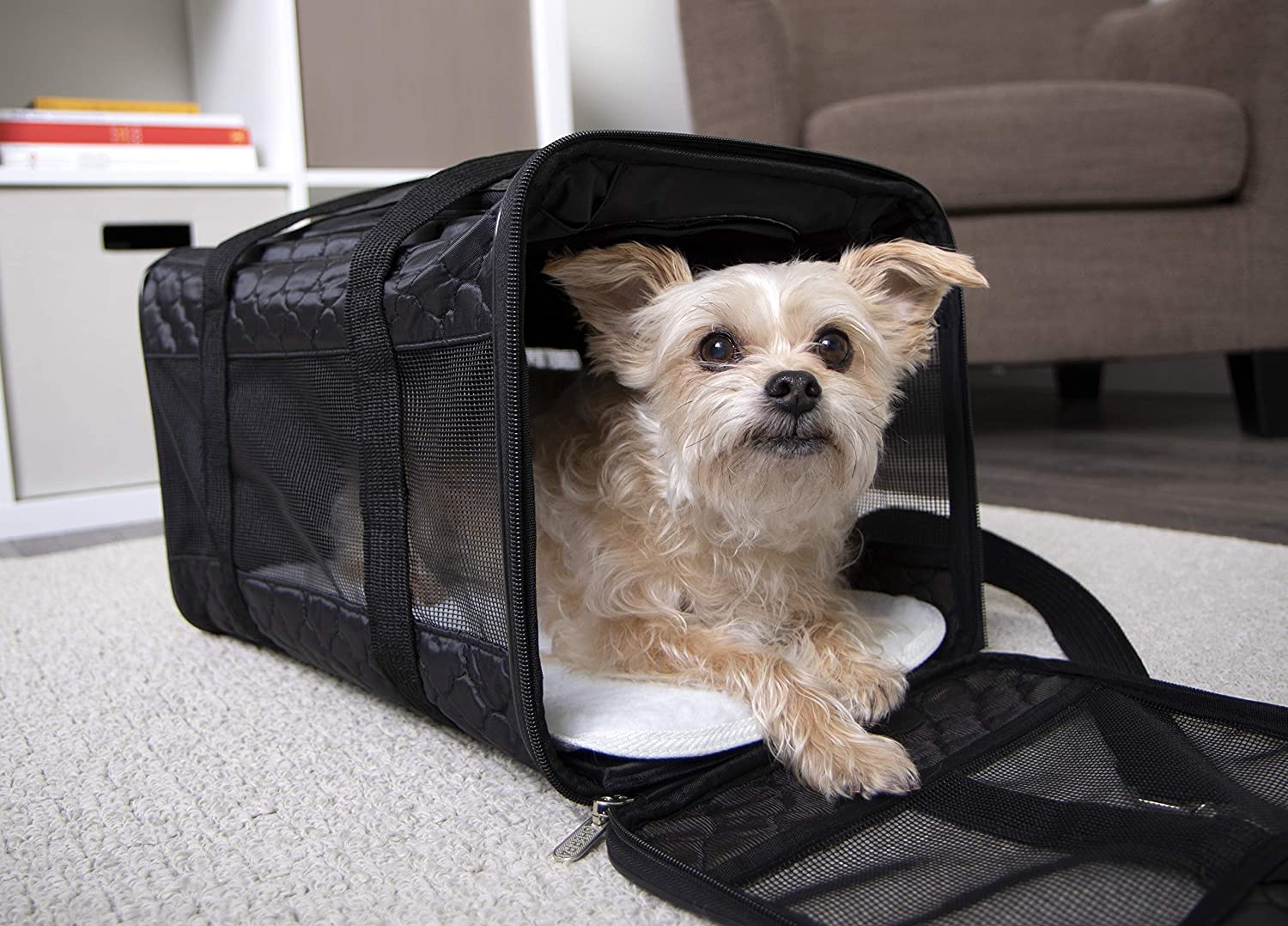 Sherpa Original Deluxe Airline Approved Pet Carrier, Medium, Black