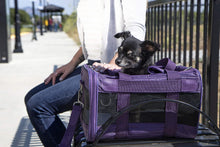 
                        
                          Load image into Gallery viewer, Sherpa Original Deluxe Airline Approved Pet Carrier, Medium, Black
                        
                      