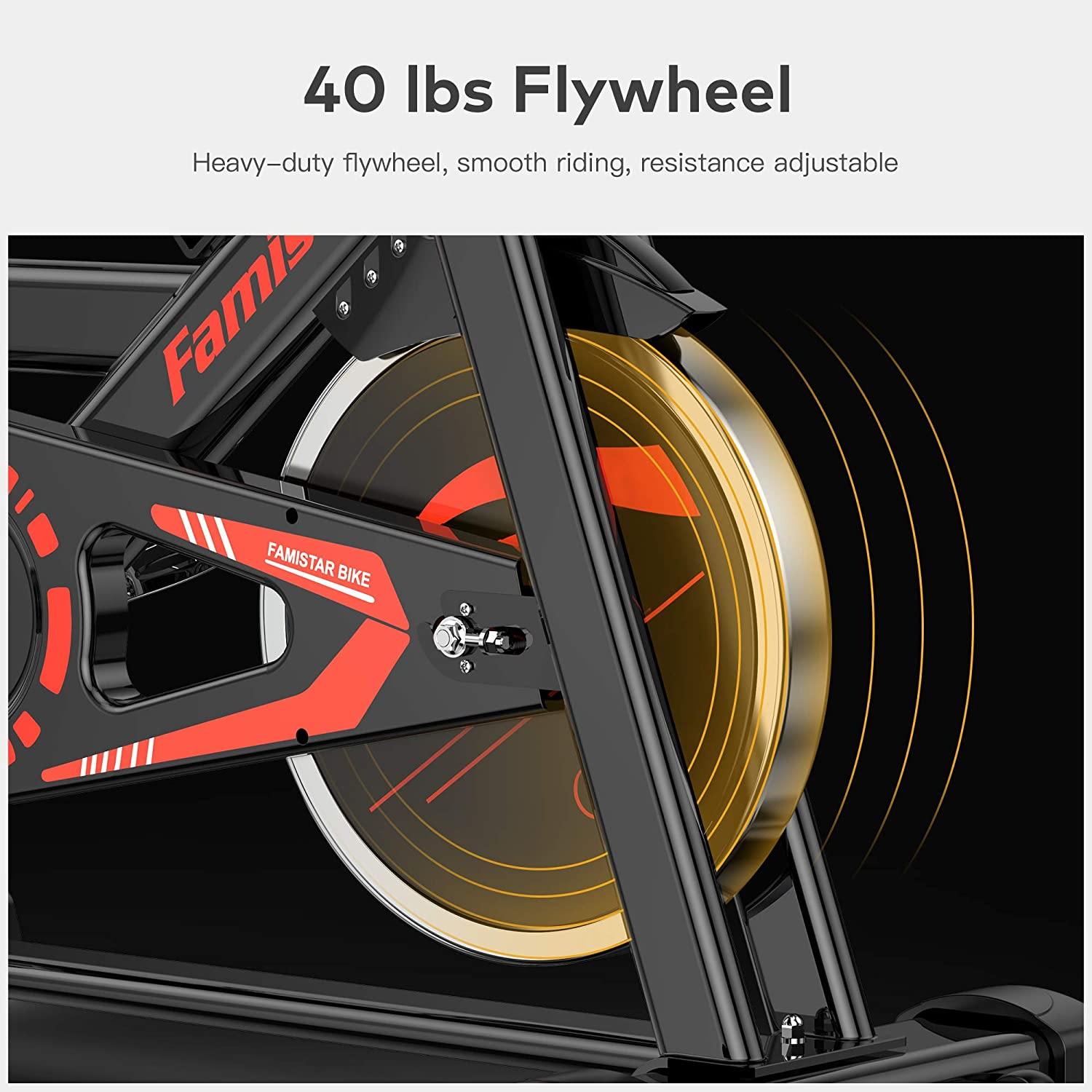 Famistar 40 lbs Quiet Flywheel 300 lbs Capacity Exercise Bike, Indoor Cycling Bike Stationary with LCD Display - JOY2ESpree