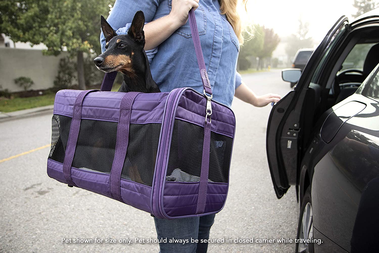 Sherpa Original Deluxe Airline Approved Pet Carrier, Medium, Black